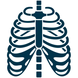 Anterior posterior